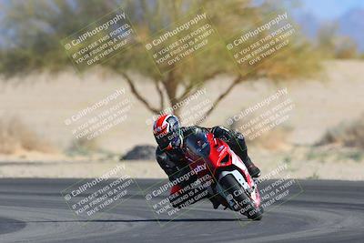 media/Feb-04-2023-SoCal Trackdays (Sat) [[8a776bf2c3]]/Turn 4 (Tree of Life 2pm)/